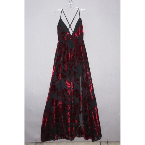 Tobi Dress Small Floral Velvet Burnout Maxi Sheer Y2K Whimsigoth Fairy Vamp Goth - Picture 2 of 12